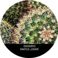 Cactus_de
