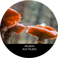Mushrooms_de