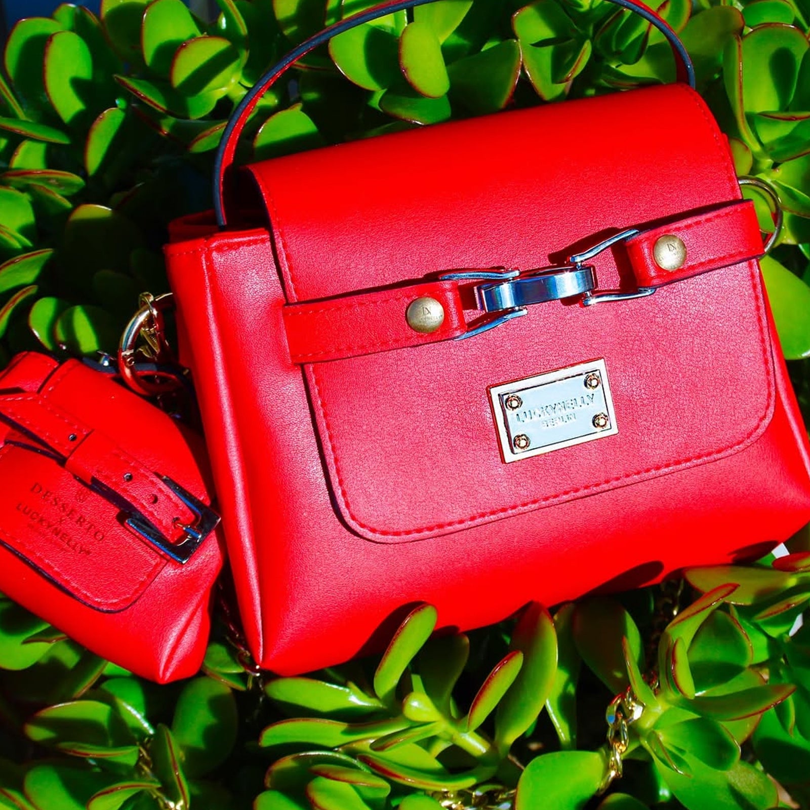 LUCKYNELLY handbag archive