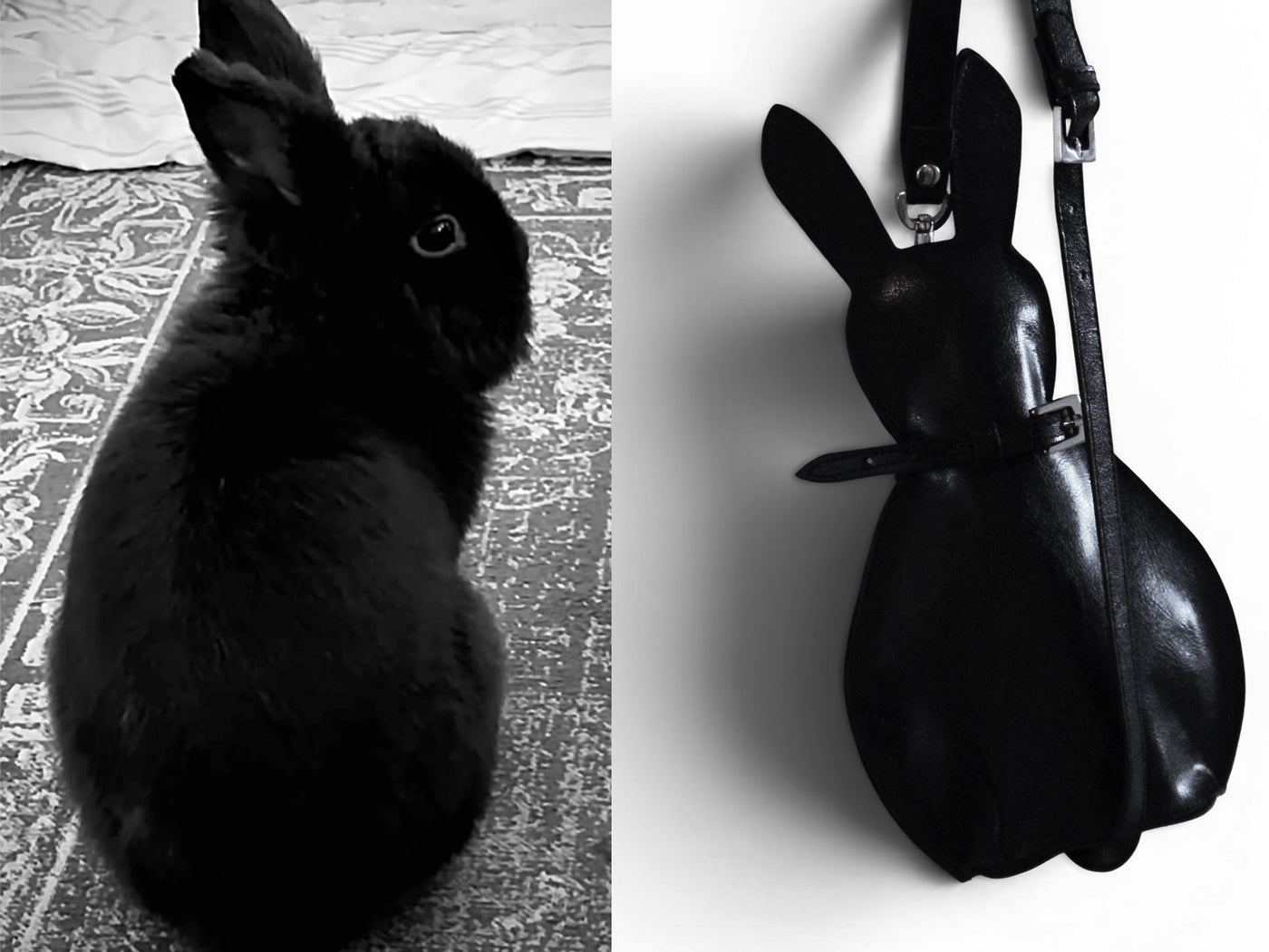 INSPIRED BY BLACKY