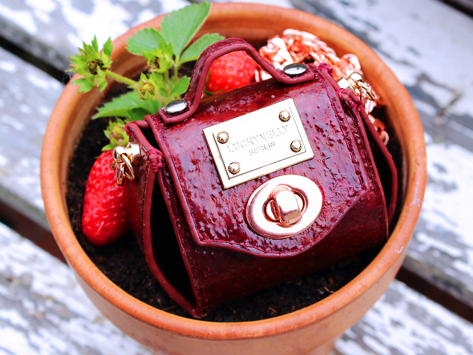 LUCKYNELLY BERRIESTEX bag
