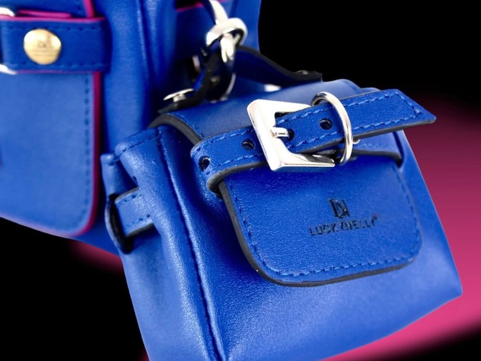 LUCKYNELLY DESSERTO Cactus Leather bag