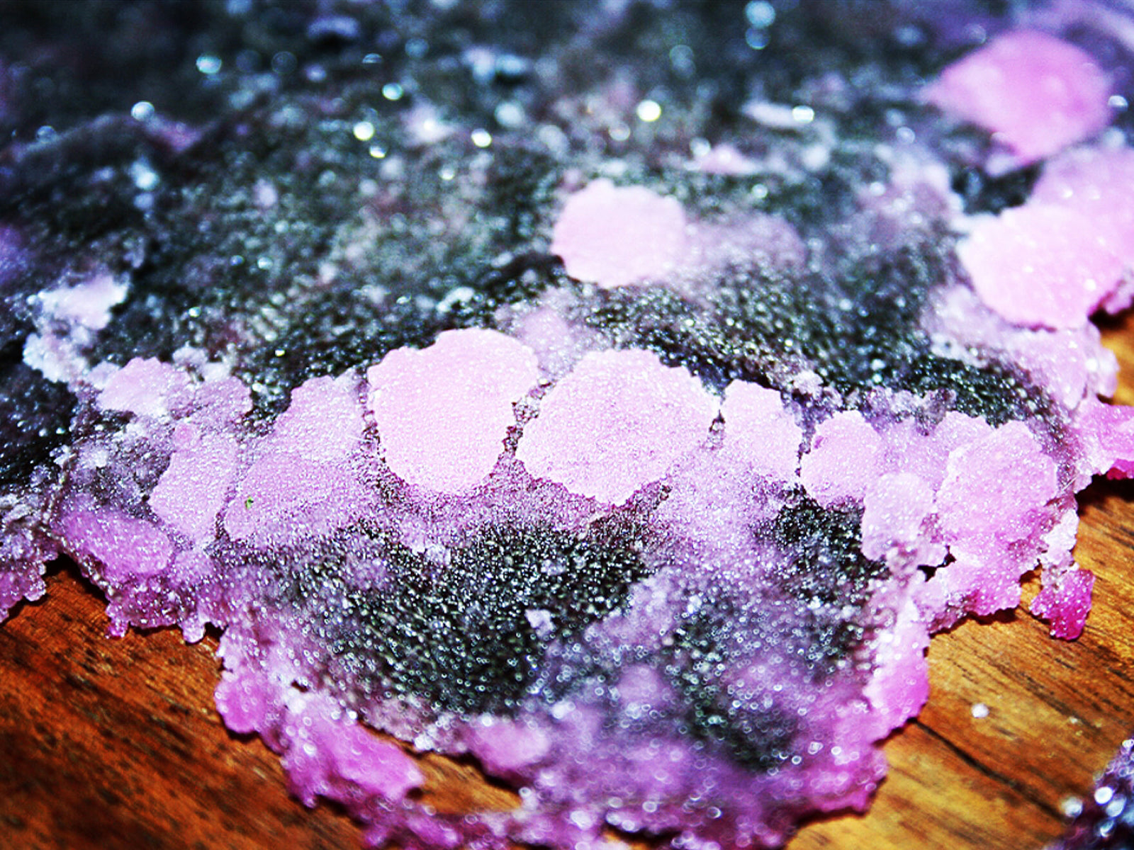 LUCKYNELLY Salt Project crystallized rose experiment