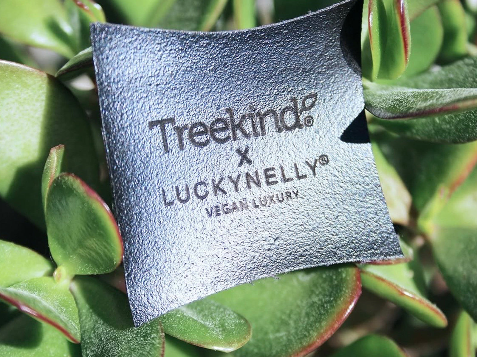 LUCKYNELLY Treekind detail